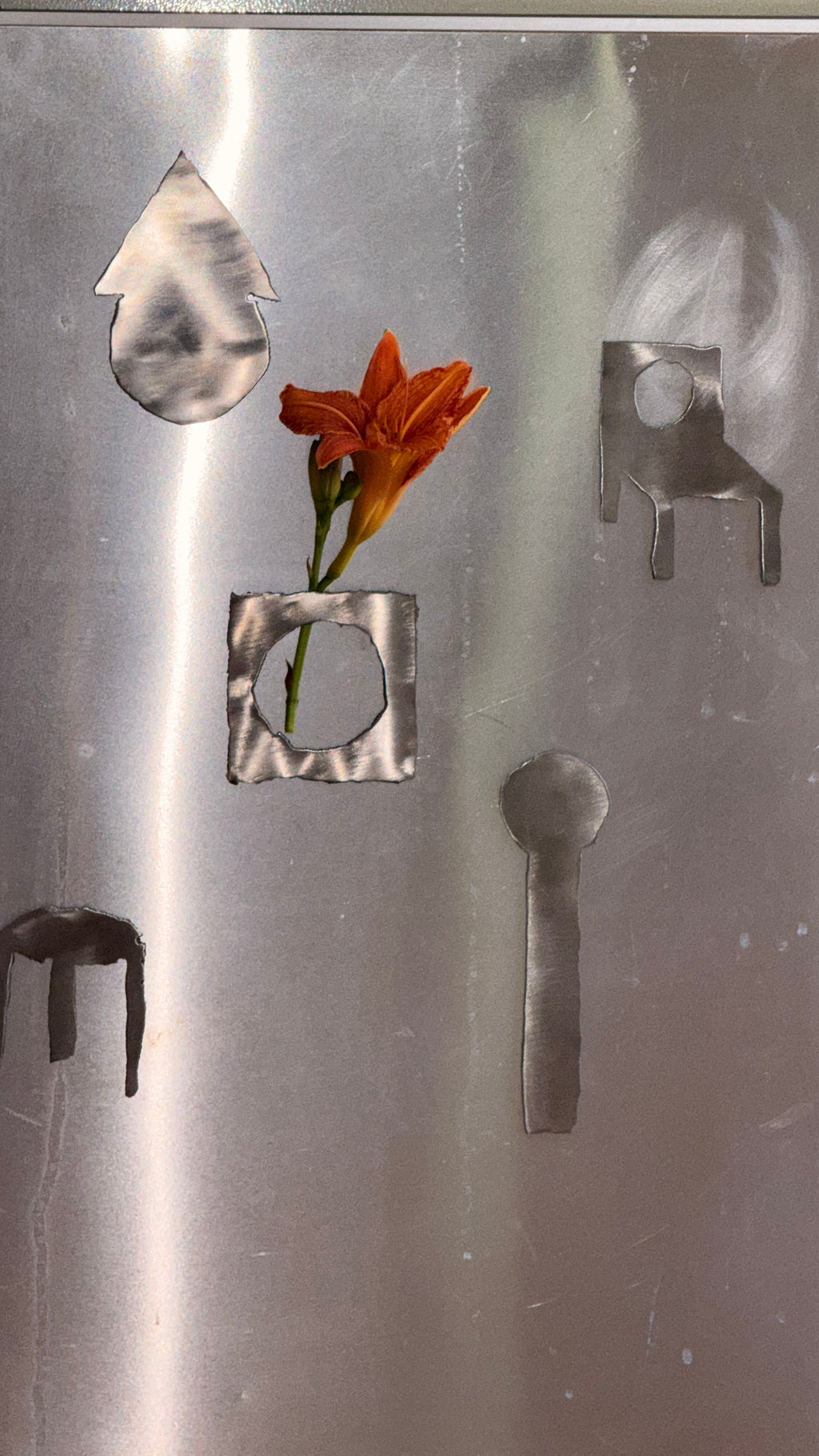 stainless steel magnets (random set of 4)
